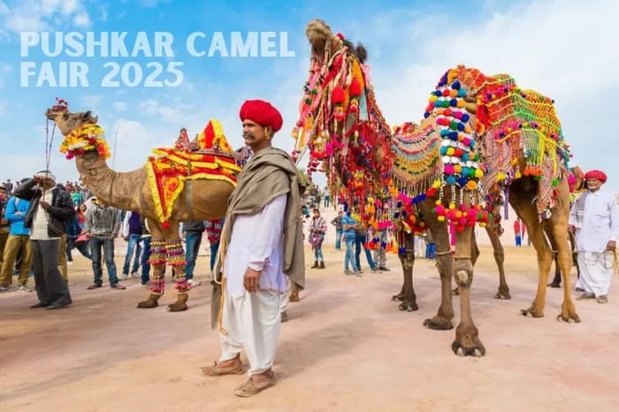 Pushkar Camel Fair 2025