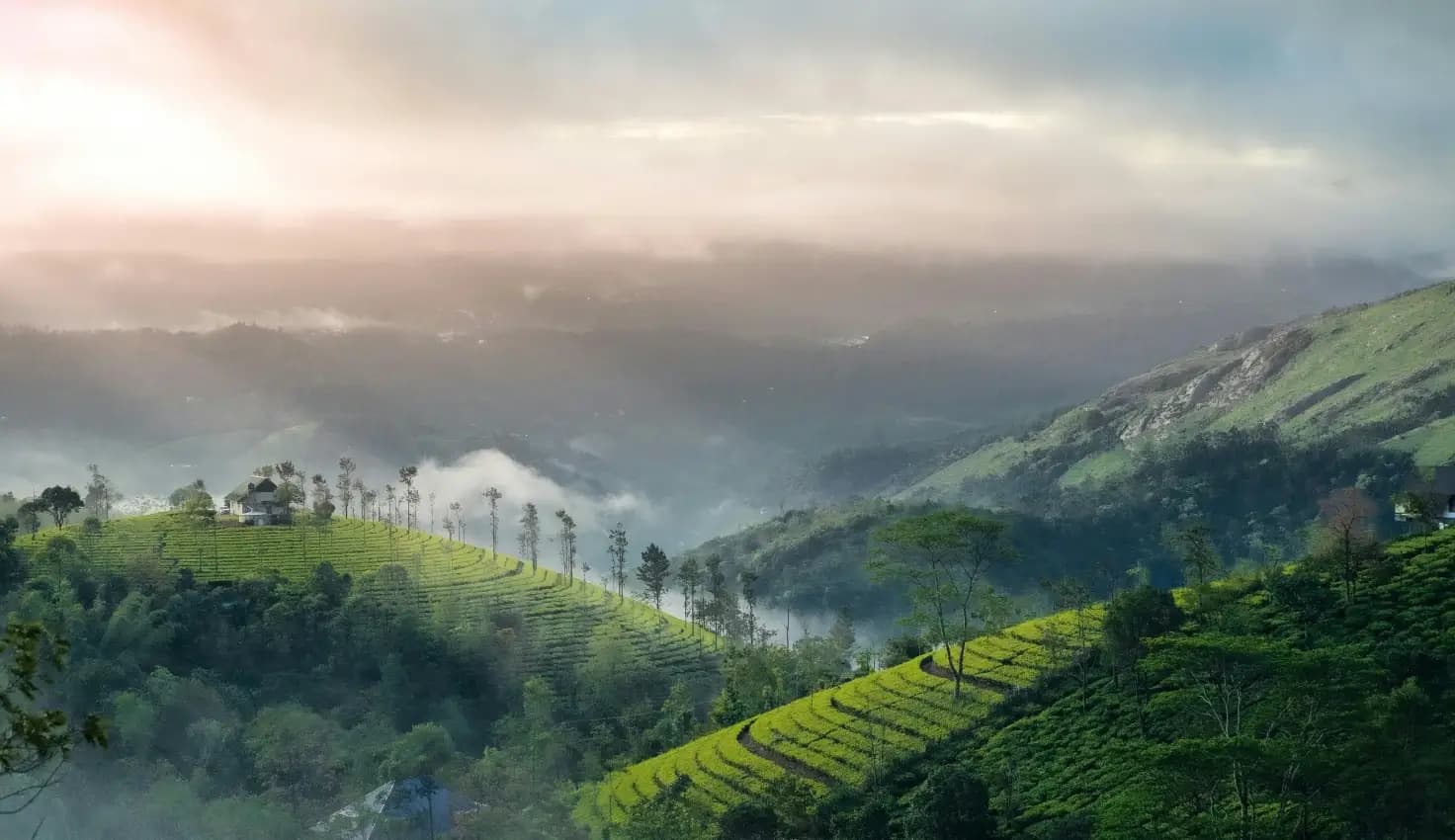 Discover Kerala in November: Backwaters, Hills & Ayurveda Magic 
