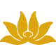 VN