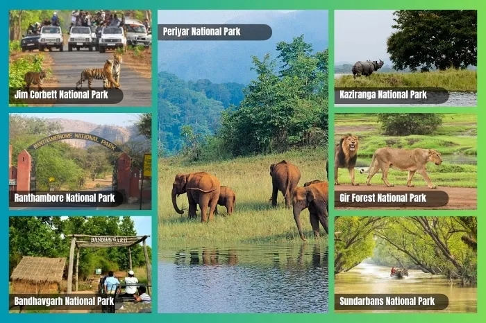 Top National Parks in India: Safari, Wildlife & Travel Guide Top National Parks in India: Safari, Wildlife & Travel Guide